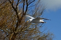 23 03 14_2509_edited-1